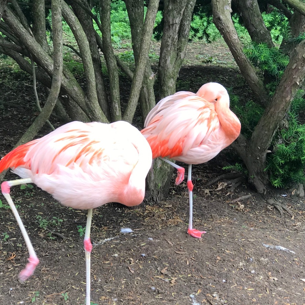 Meet your Posher, Jaclyn